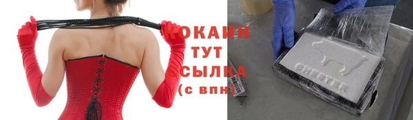 твердый Арсеньев