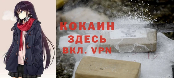 твердый Арсеньев